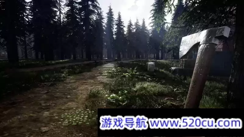 8120025606094925561